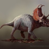 Ceratopsian