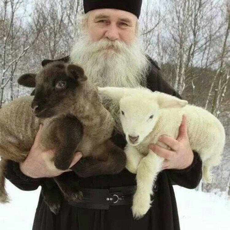 Saint Shepherd