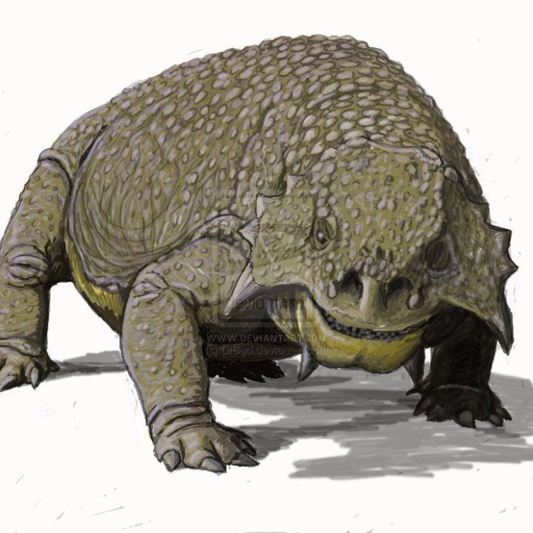 Scutosaurus