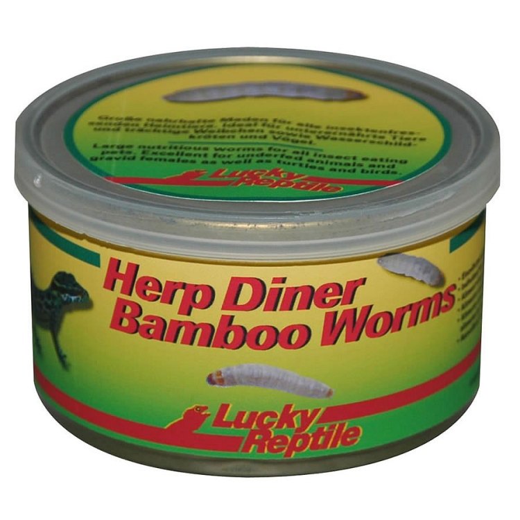 Bamboo Worms