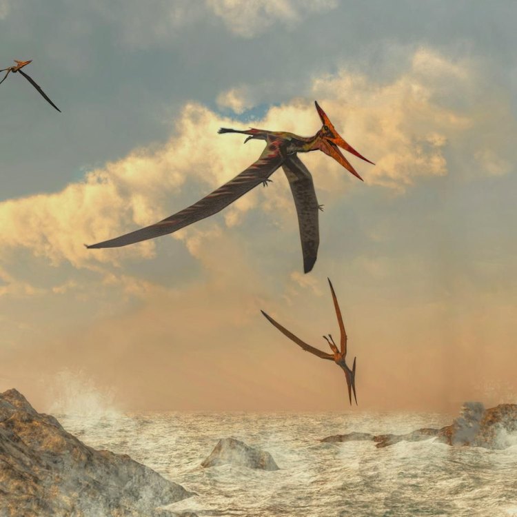 The Majestic Pterodactyl: A Rare Glimpse into the World of Prehistoric Creatures