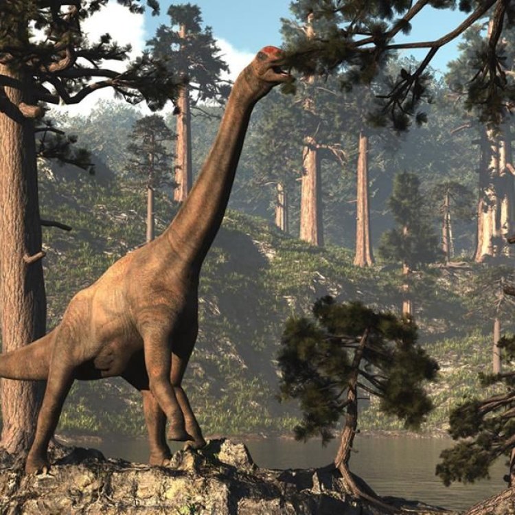 Sauropods: The Magnificent Giants of the Prehistoric World
