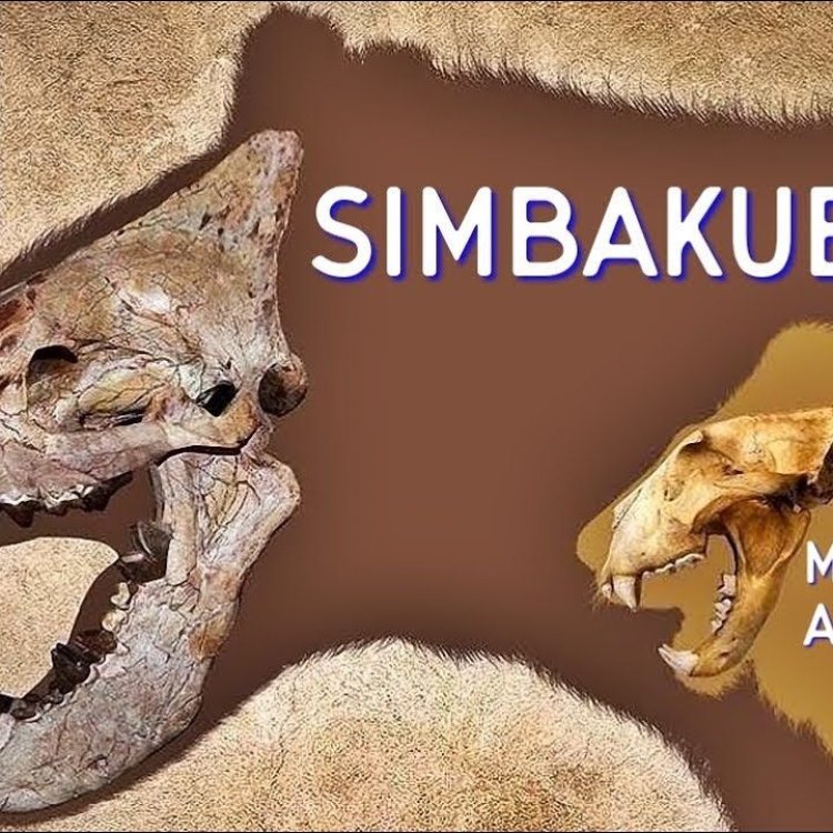 Simbakubwa: The King of Carnivores from Eastern Africa