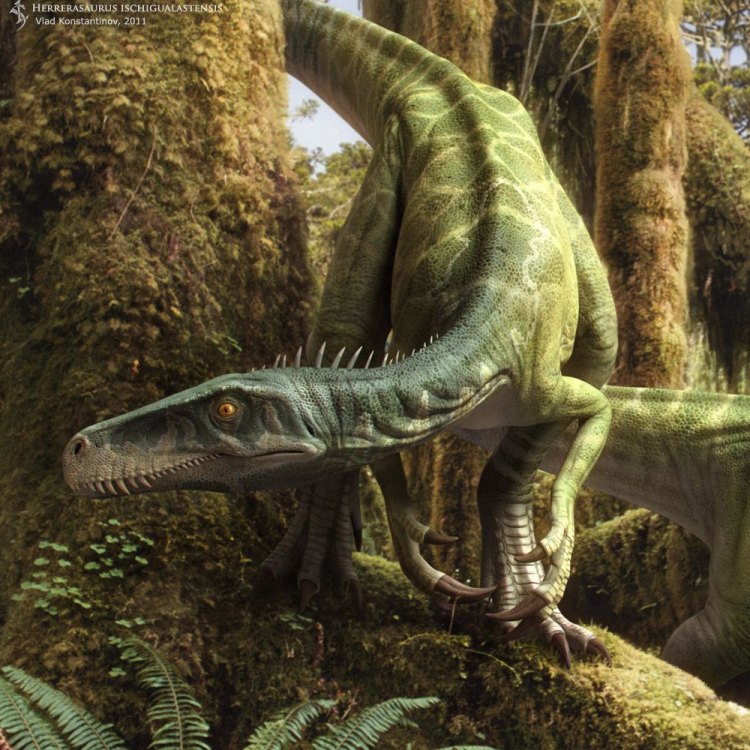 Herrerasaurus: The Elusive Land Predator