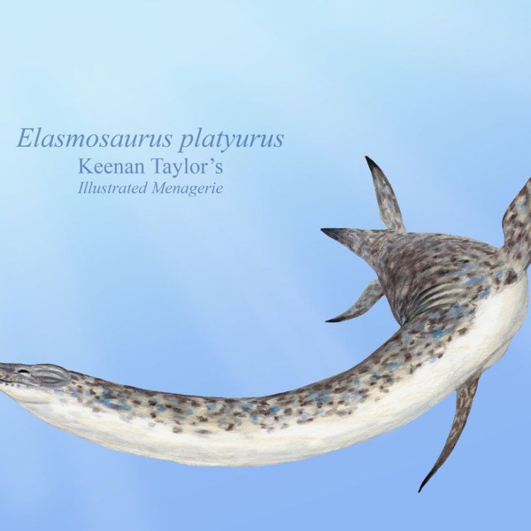 The Amazing World of Elasmosaurus: Exploring the Long-Necked Mariner of North America