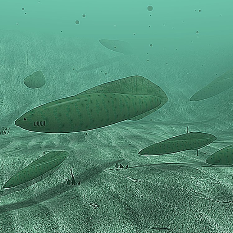 The Fascinating World of Haikouichthys: A Small but Mighty Ancient Fish