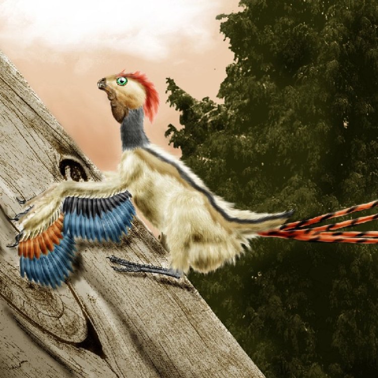 The Fascinating Story of Epidexipteryx: The Feathered Flying Dinosaur