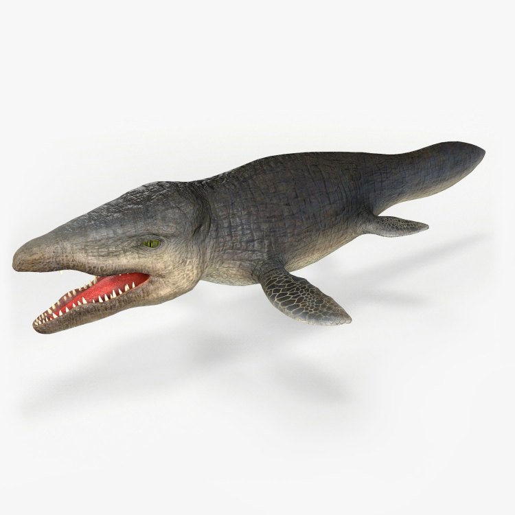 The Enigmatic Mosasaurus: Uncovering the Mysteries of This Ancient Marine Predator