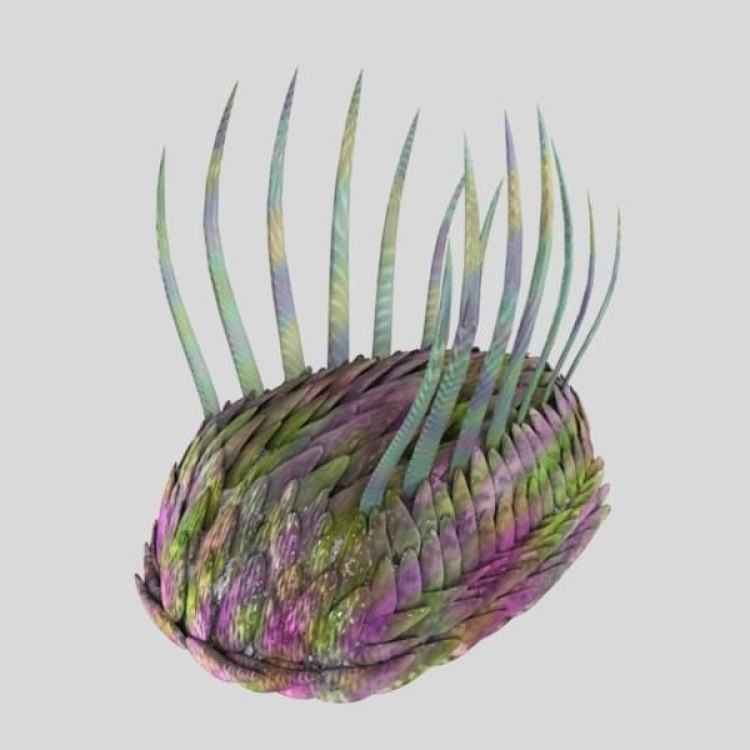 The Mysterious Creature of the Sea: An In-depth Look at Wiwaxia