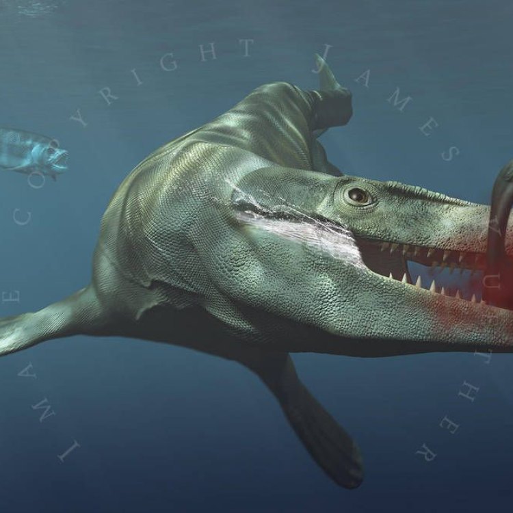 Tylosaurus: The Fearsome Sea Monster of North America