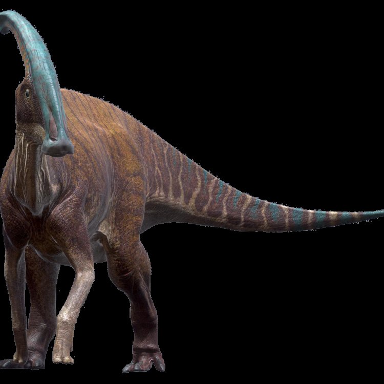 Parasaurolophus: An Enigmatic Herbivore of North America