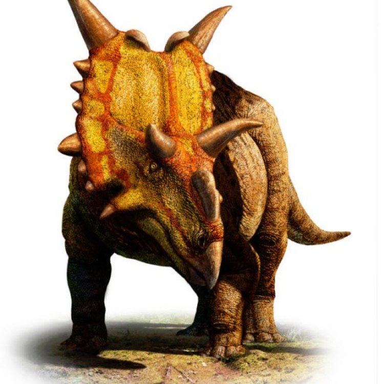 The Incredible Species of Xenoceratops: An Untold Tale of the North American Herbivore