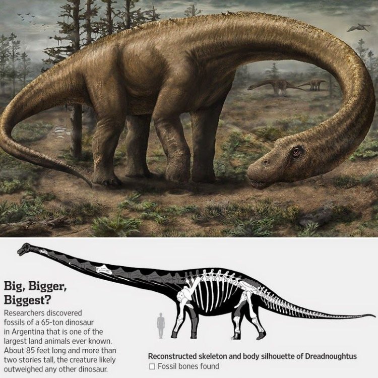 Dreadnoughtus: The Mighty Titanosaur from Patagonia