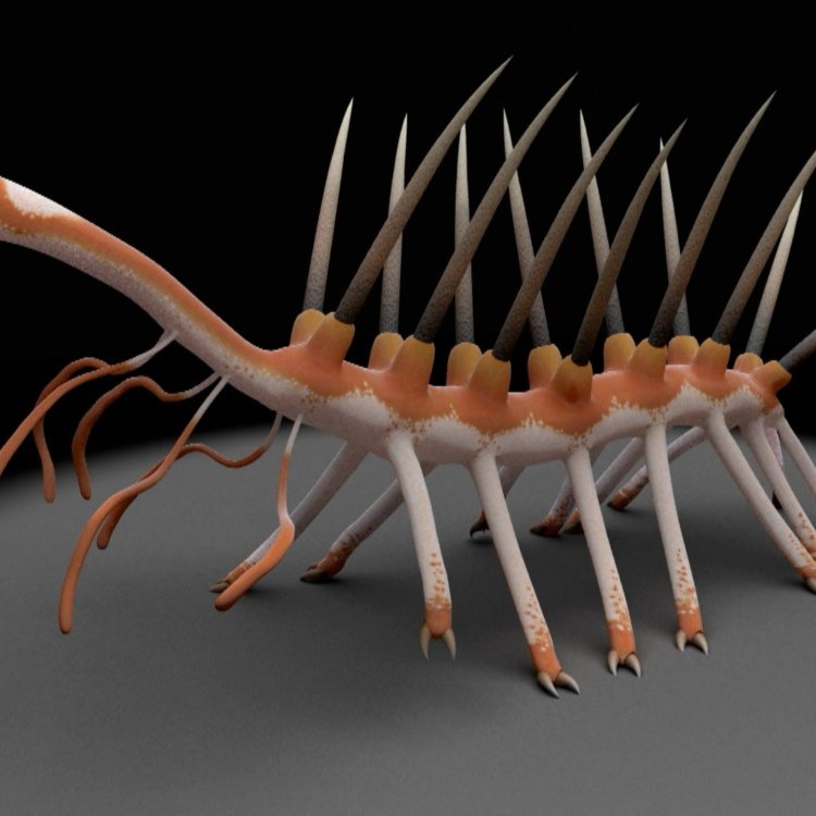 The Mysterious Hallucigenia: An Enigmatic Creature from the Depths of Burgess Shale