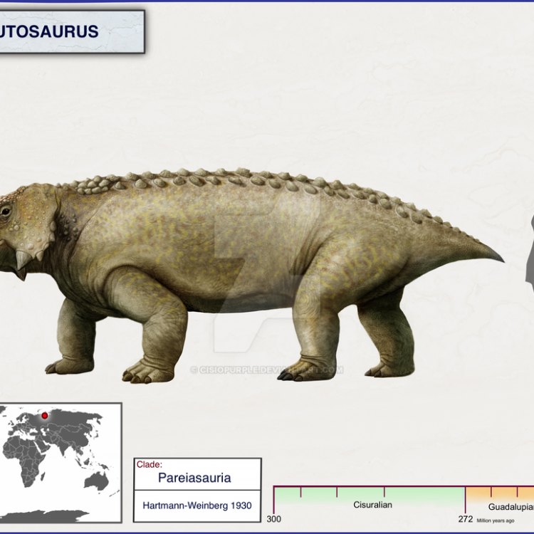 The Mighty Scutosaurus: An Ancient Herbivore from Russia and Kazakhstan