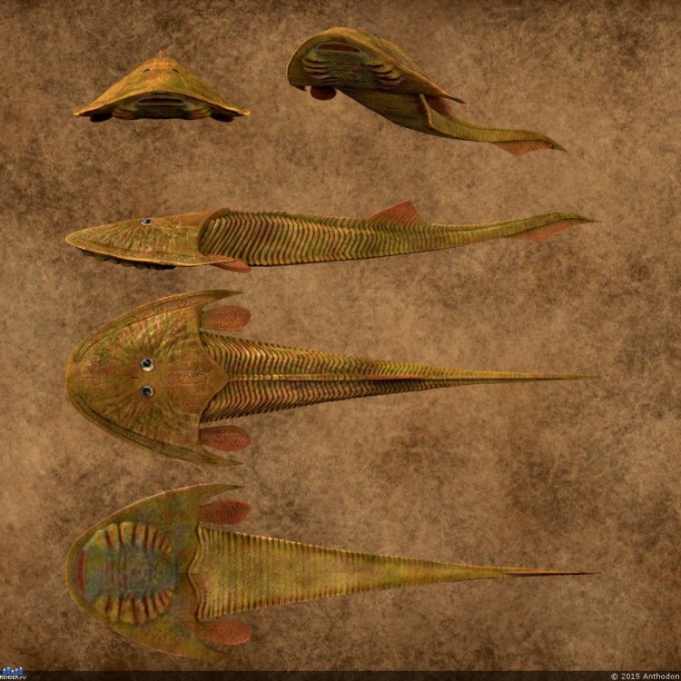 The Fascinating World of Cephalaspis: A Prehistoric Fish