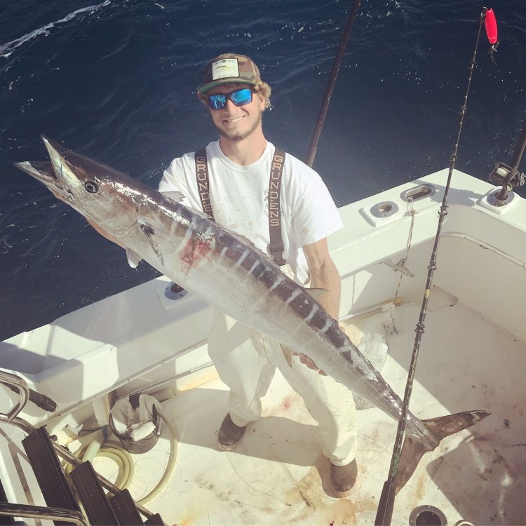 The Fascinating Wahoo Fish: A Master Hunter of the Open Ocean