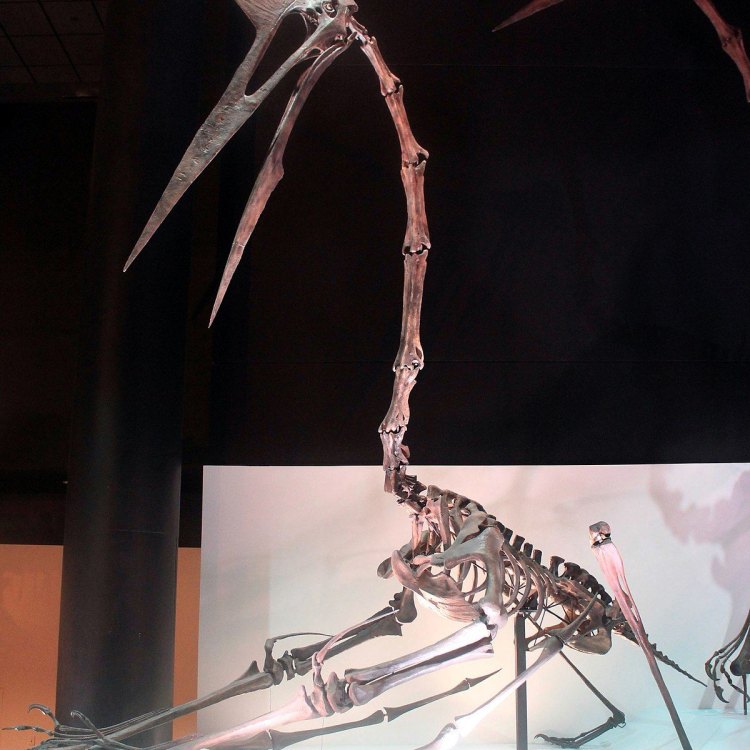 The Mighty Quetzalcoatlus: Exploring the Fascinating World of the Largest Flying Reptile