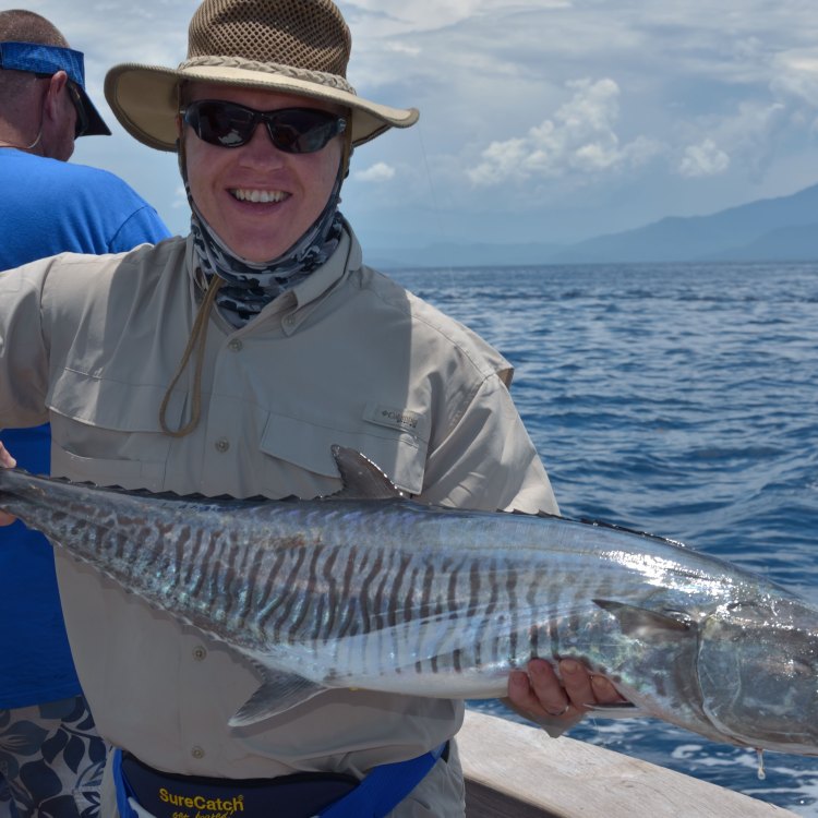 The Mighty Spanish Mackerel: A Thrilling Fish of the Tropical Seas