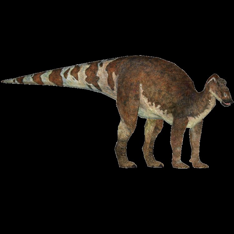 Maiasaura peeblesorum