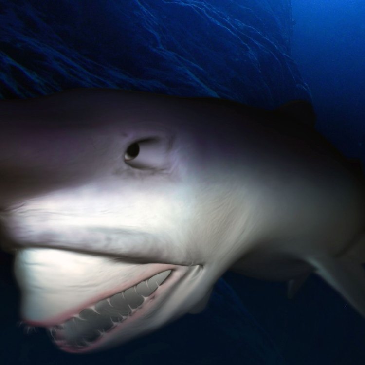 The Mysterious and Enigmatic World of the Goblin Shark