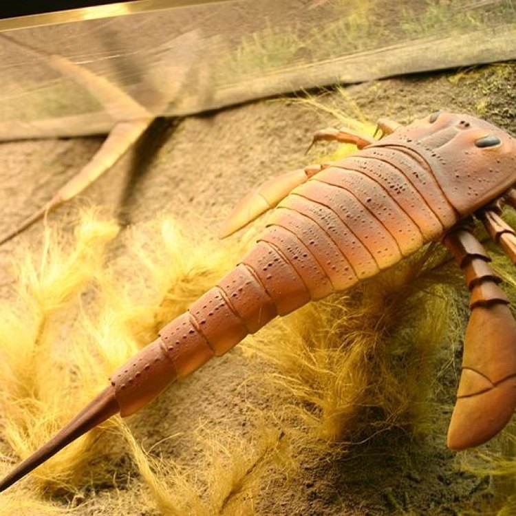 The Fascinating World of Eurypterus: The Sea Scorpion