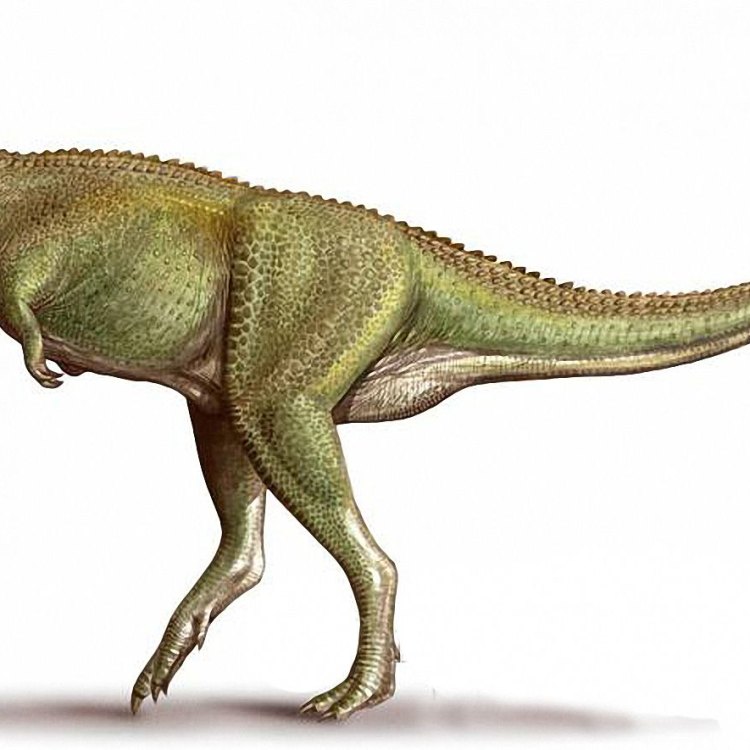 Xenotarsosaurus: A Ferocious Predator from Patagonia