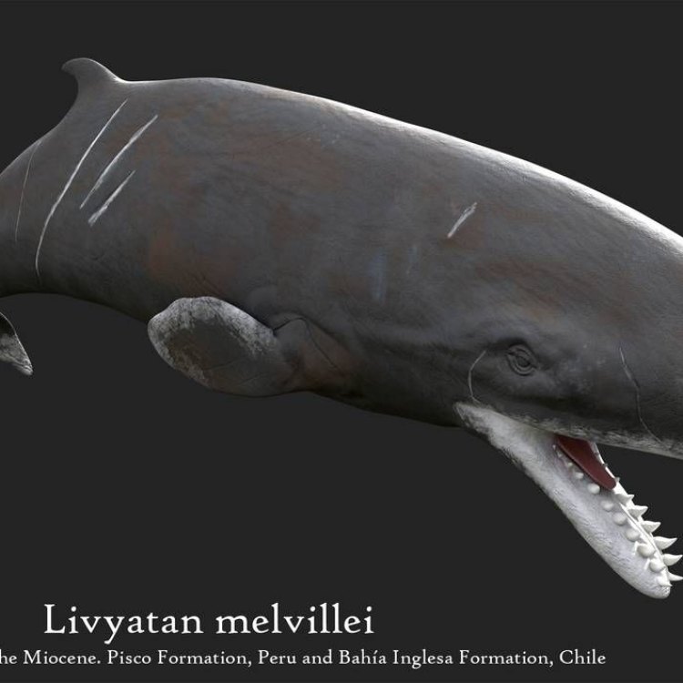 The Mighty Livyatan: The Ancient Leviathan of the Oceans