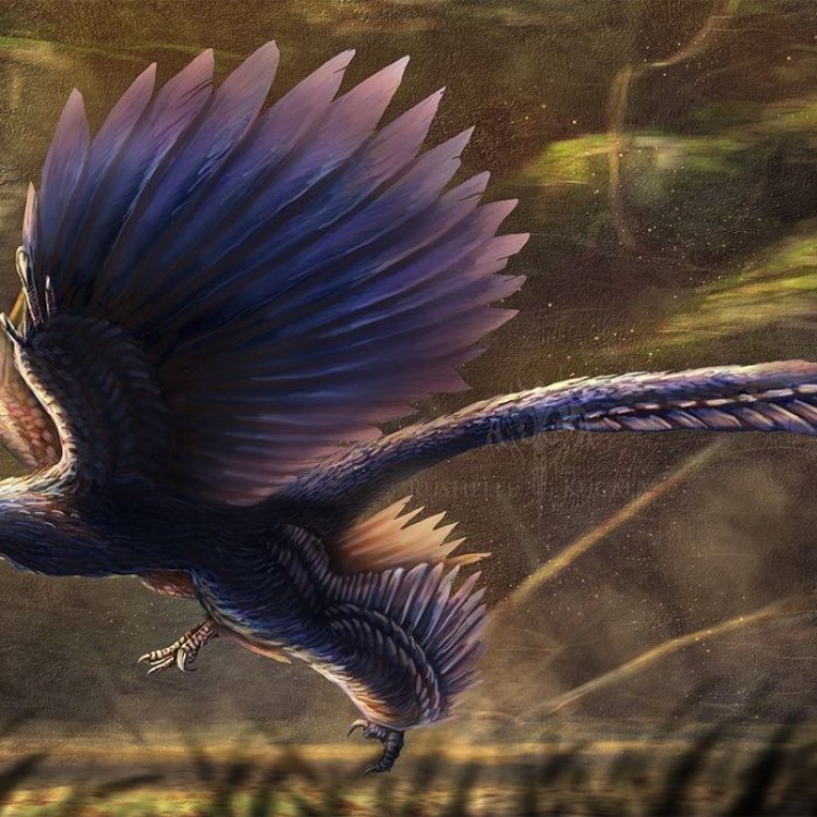 The Magnificent Microraptor: A Daring Dinosaur from China
