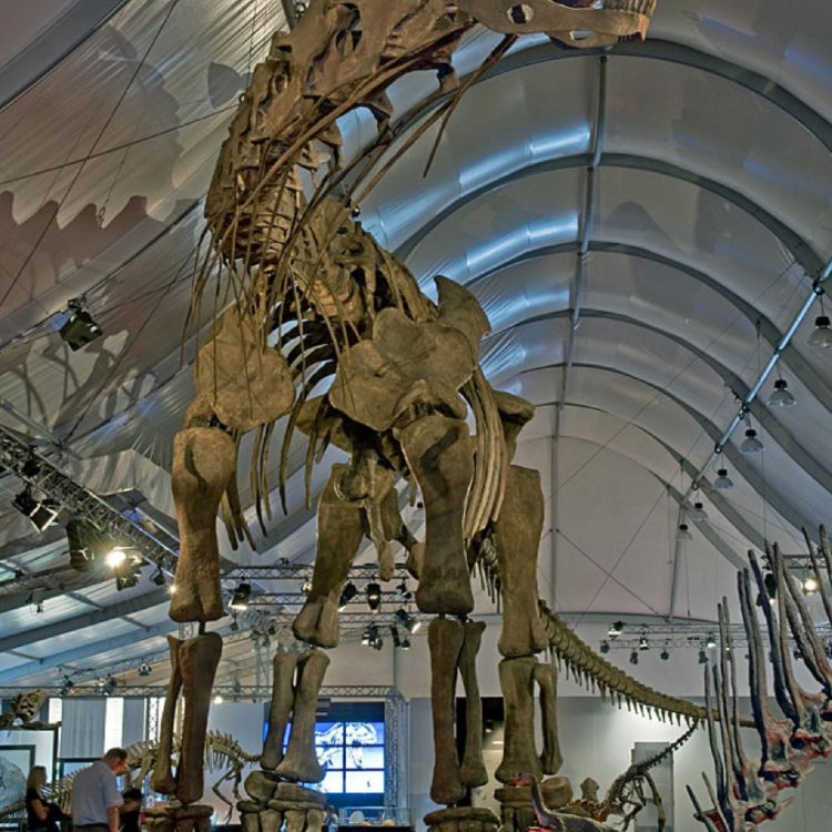 The Mighty Argentinosaurus: The Largest Dinosaur That Ever Roamed the Earth