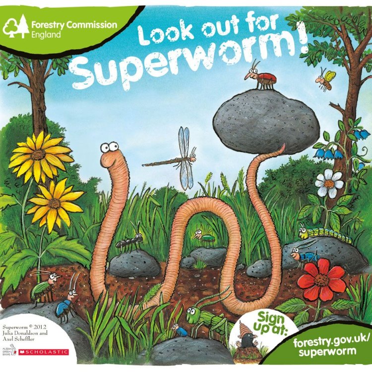Meet the Mighty Superworm: Nature's Detritivore