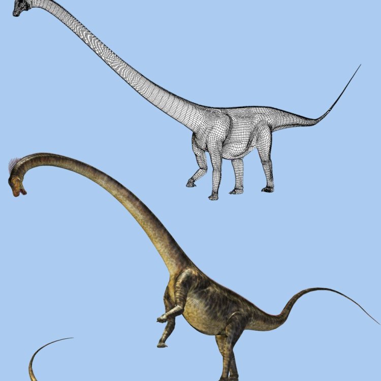 The Magnificent Barosaurus: A Herbivore of Enormous Proportions