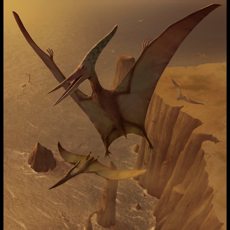 The Fascinating World of Pteranodon: A Closer Look at North America's Flying Dinosaur