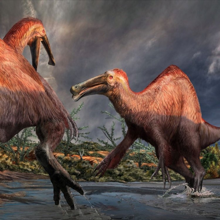 The Mysterious Creature of the Gobi Desert: Deinocheirus