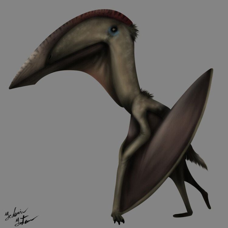 Welcome to the World of Hatzegopteryx: The Giant Flying Reptile of Europe