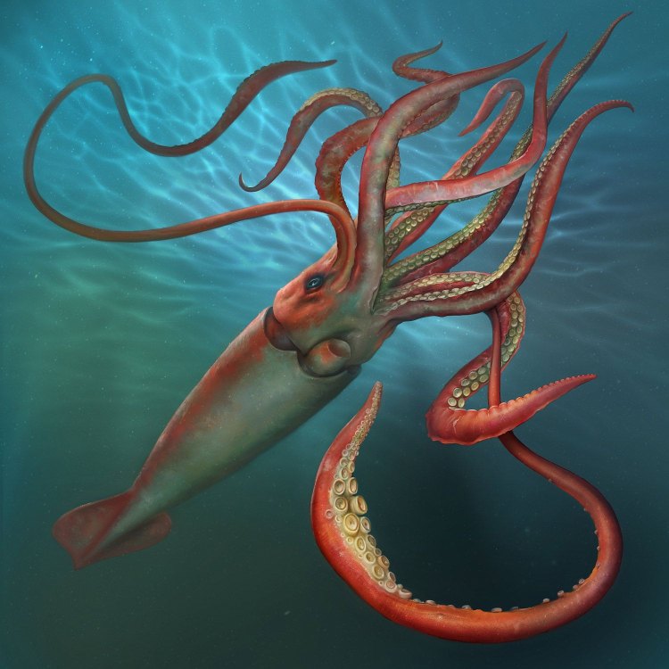 The Mystery of the Colossal Squid: Exploring the Depths of the Southern Ocean