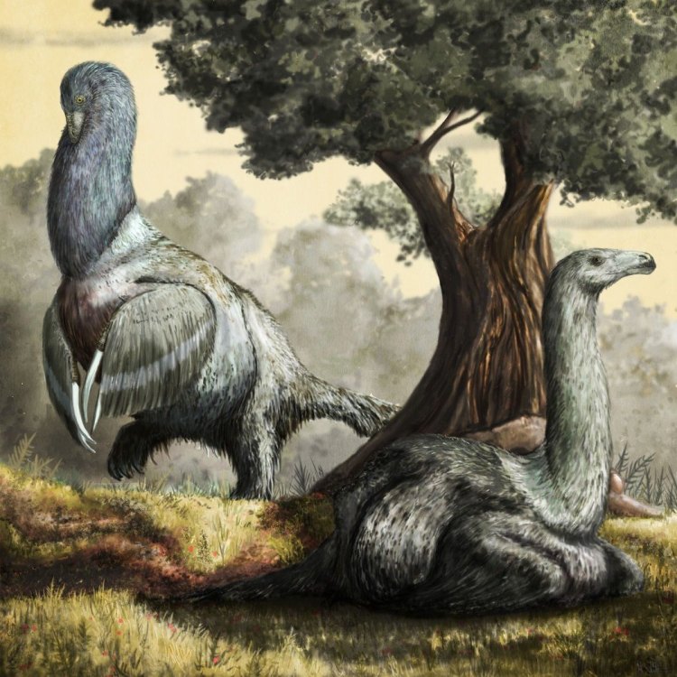 The Enigmatic Therizinosaurus: Unraveling the Mysteries of the Gobi Desert's Iconic Herbivore