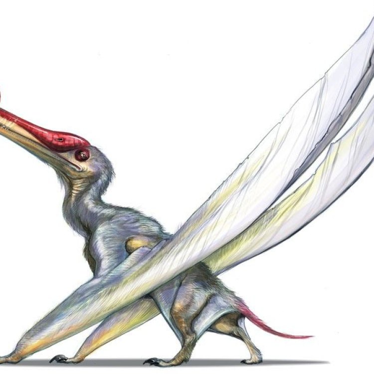 Welcome to the World of Ornithocheirus: The Giant Flying Reptile
