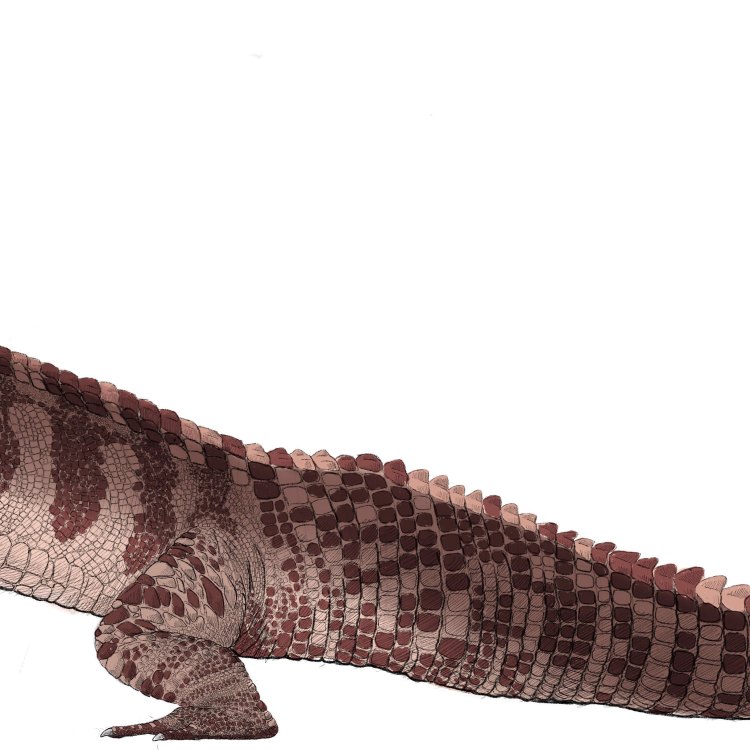 Discover the Incredible Smilosuchus: A Large Carnivorous Crocodylomorph from Prehistoric North America