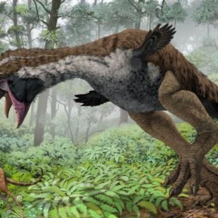 The Mysterious Gastornis: A Look into the Fascinating World of Giant, Flightless Birds