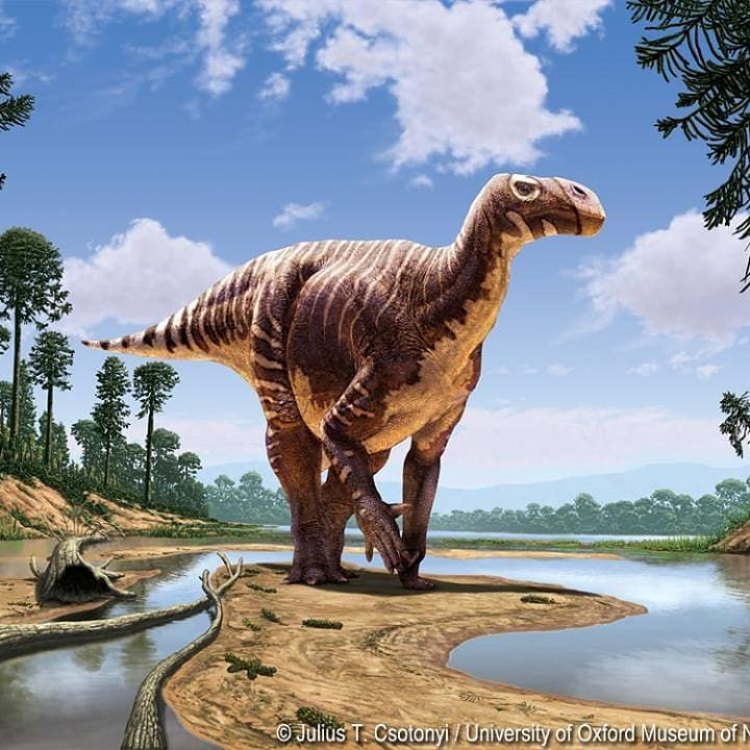The Mighty Iguanodon: The Herbivore of the Mesozoic Era