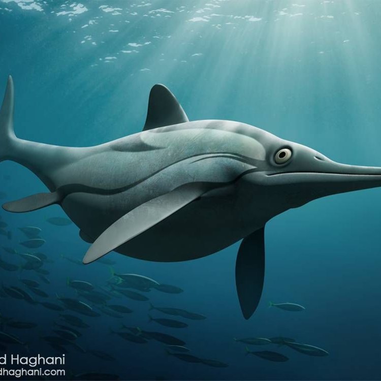 The Mighty Ichthyosaurus: A Fascinating Marine Reptile