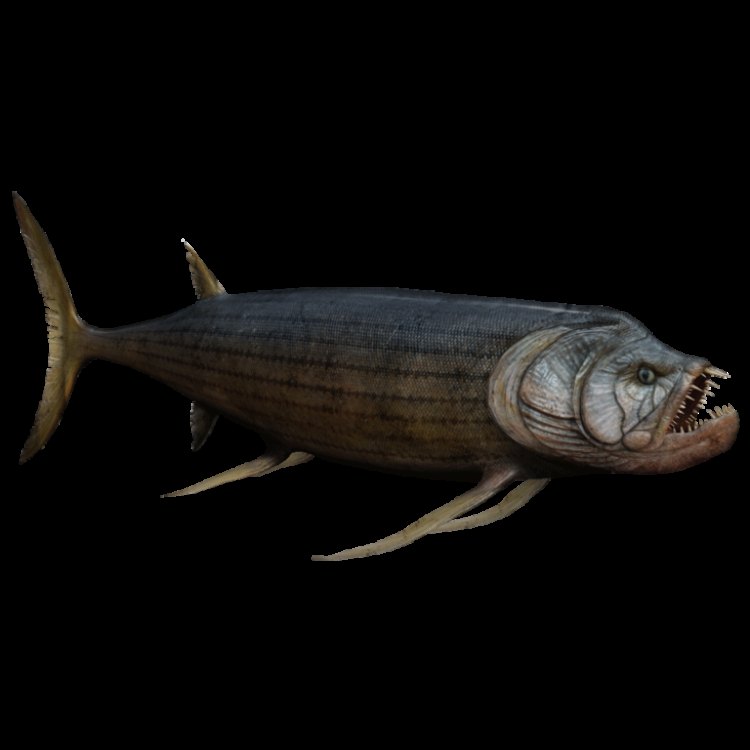 The Mighty Xiphactinus: A Fierce Predator of the Western Interior Seaway