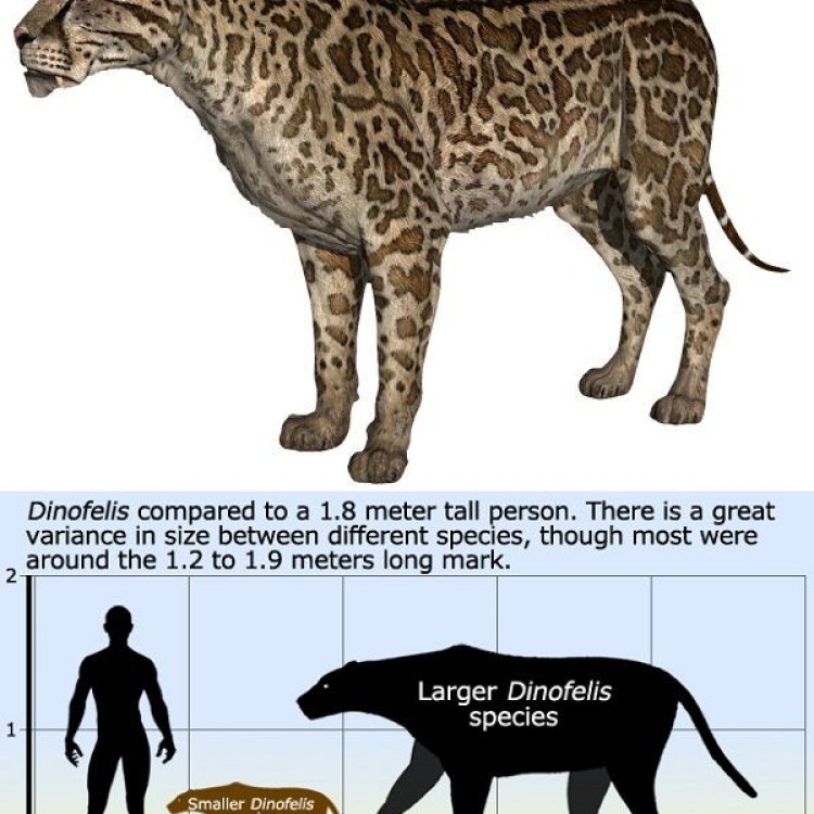 The Enigmatic Dinofelis: A Carnivorous Feline of Prehistoric Times