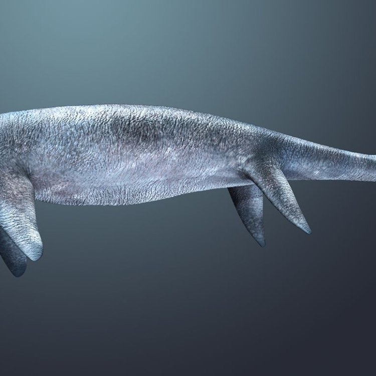 The Enigmatic Giant: Shastasaurus - The Largest Marine Reptile Ever Discovered