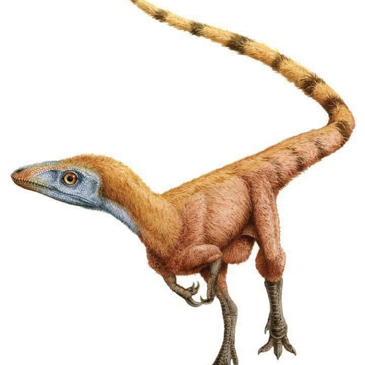 The Fascinating Sinosauropteryx: An Ancient Predator from China