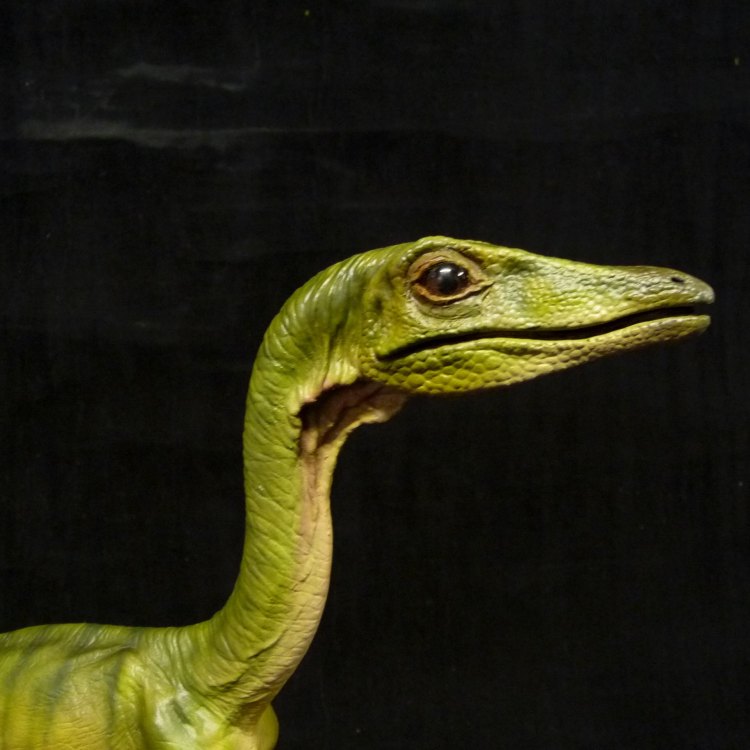 The Tiny Terror: Exploring the World of Compsognathus