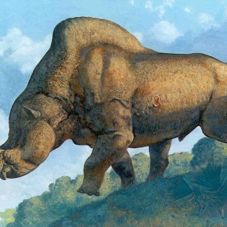 Dinopithecus