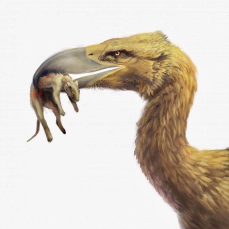 The Mighty Terror Bird: A Giant of the Prehistoric World