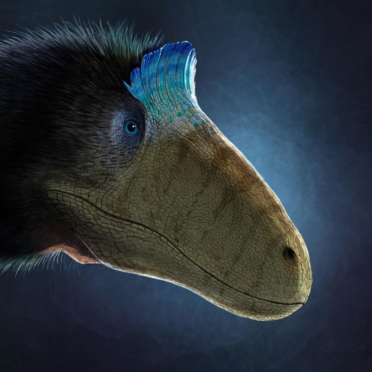 Cryolophosaurus: The King of Antarctica